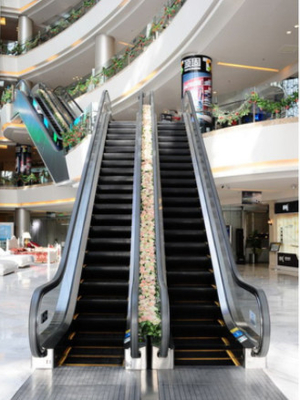 Trung tâm mua sắm Di chuyển Thang cuốn 35 độ Kính cường lực Fuji